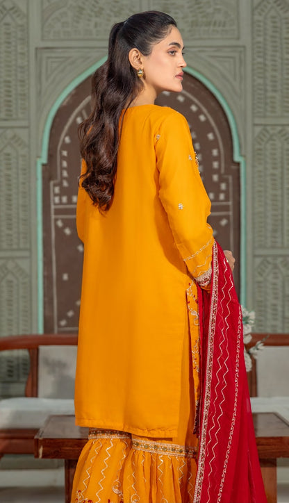 Abeer Luxury Handwork Gharara Collection 3-Piece